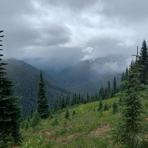 Meet your Posher, Jaymee